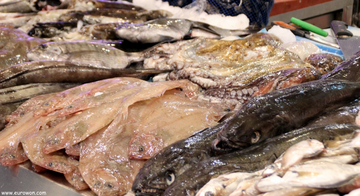 Pescado gallego a la venta en Vigo