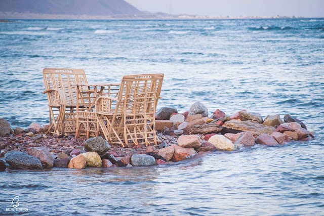 المأكولات والمشروبات المتوفرة في المحمية