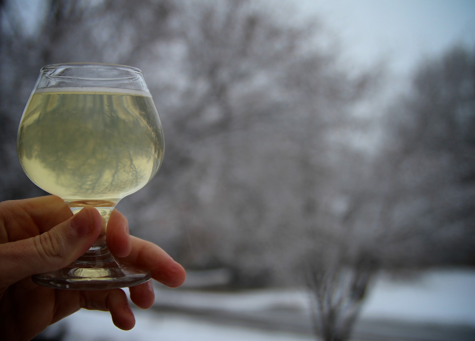Life Sprinkled With Glitter Celebrate with Sparkling Jello