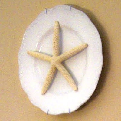 starfish wall plate