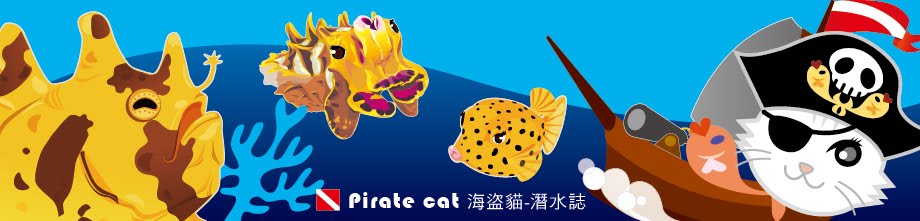 pirate_cat 潛水去