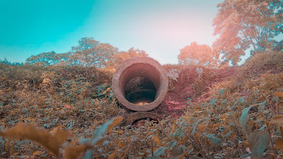 Free Images Stock Background Photos free images, background images, background stock, background, nature background, free stock background image, free stock photos