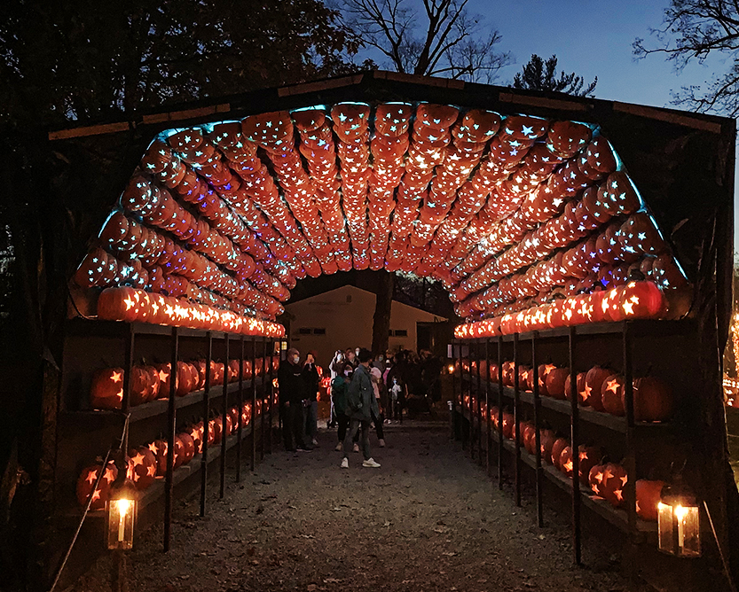 Things to know before visiting The Great Jack O'Lantern Blaze, in