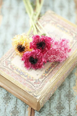 MEU FILHOTE PoeRima - (Letra H)