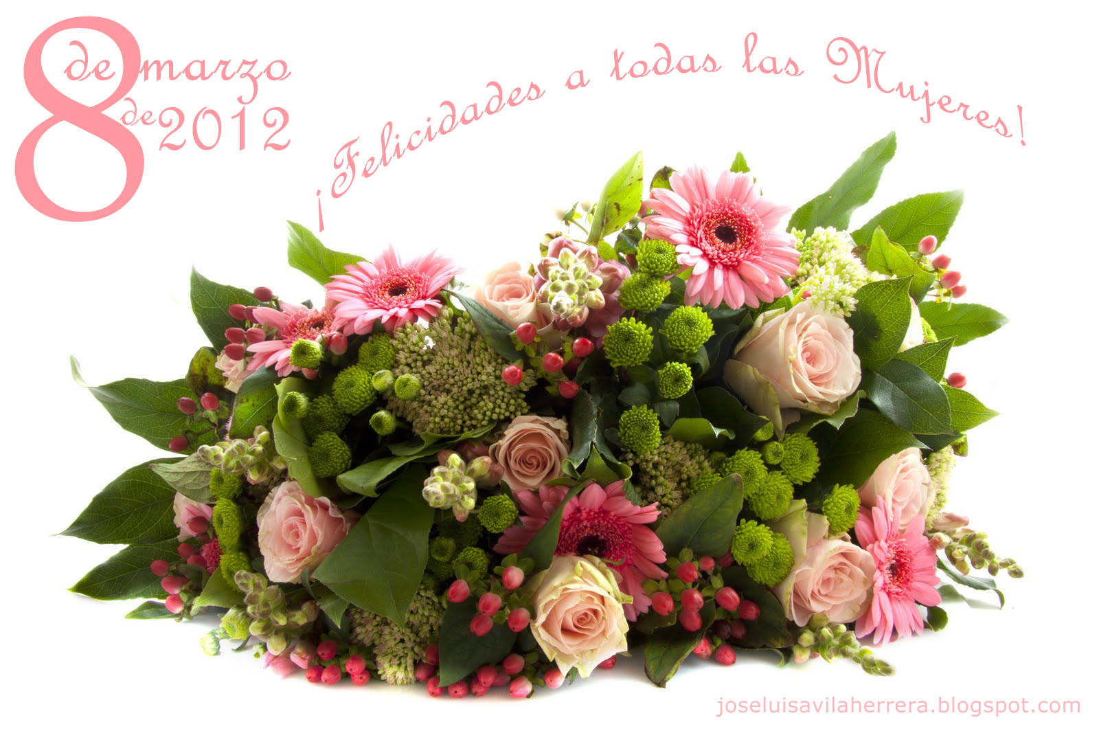 Banco de Imágenes Gratis: Arreglos Florales Día de la Mujer (8 de Marzo de  2012)