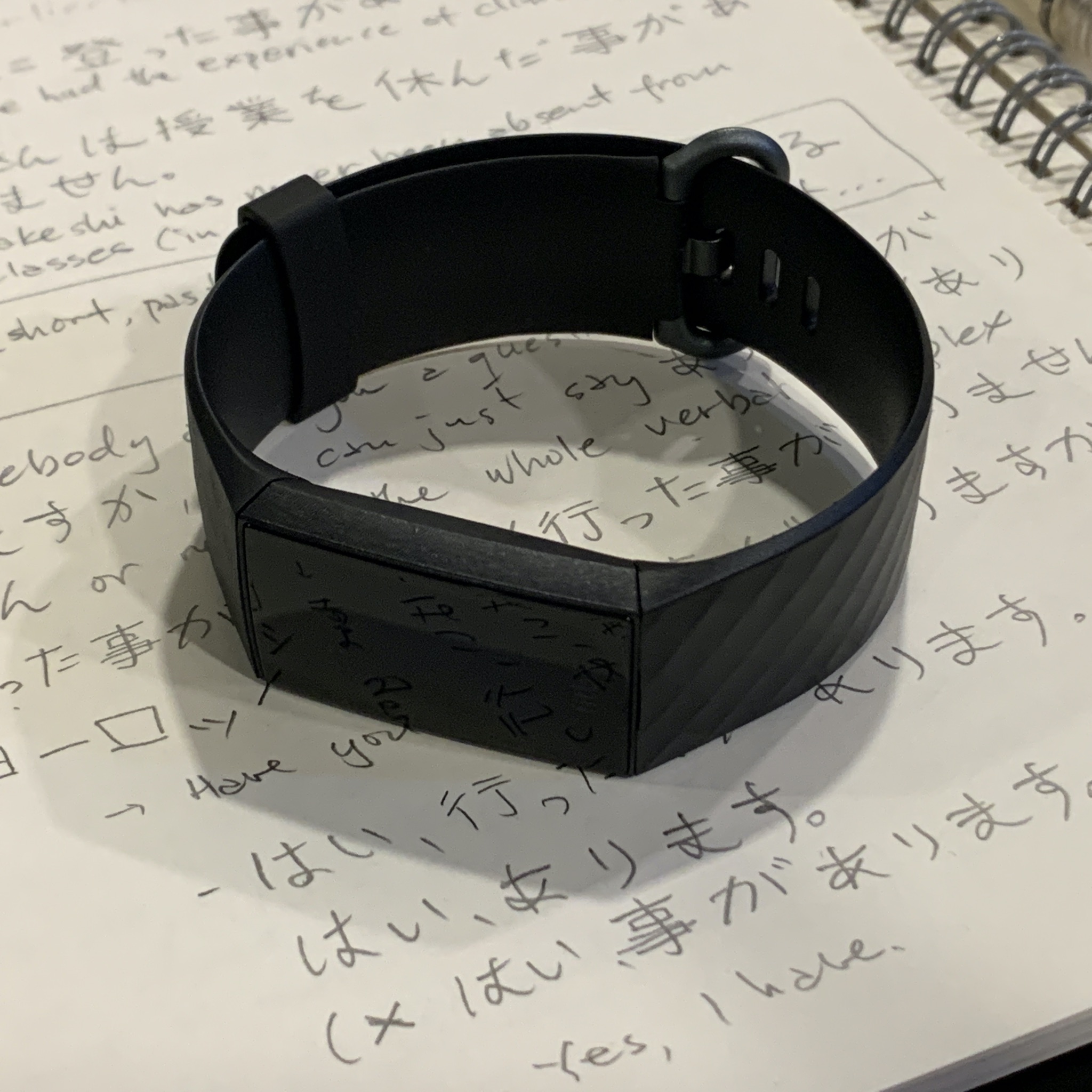 Comparing the GPS tracking of the Fitbit Charge 4 vs the Apple Watch 4 and  iPhone XS Max | The Shy Photographer