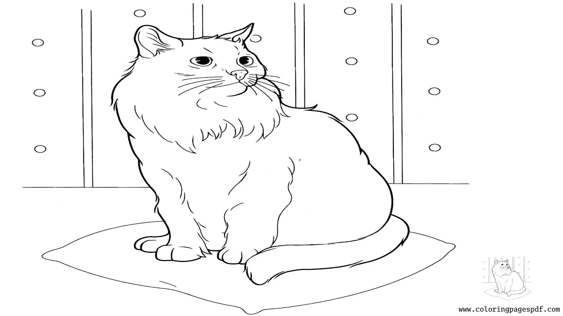 Coloring Page Of A Really Beautiful Cat
