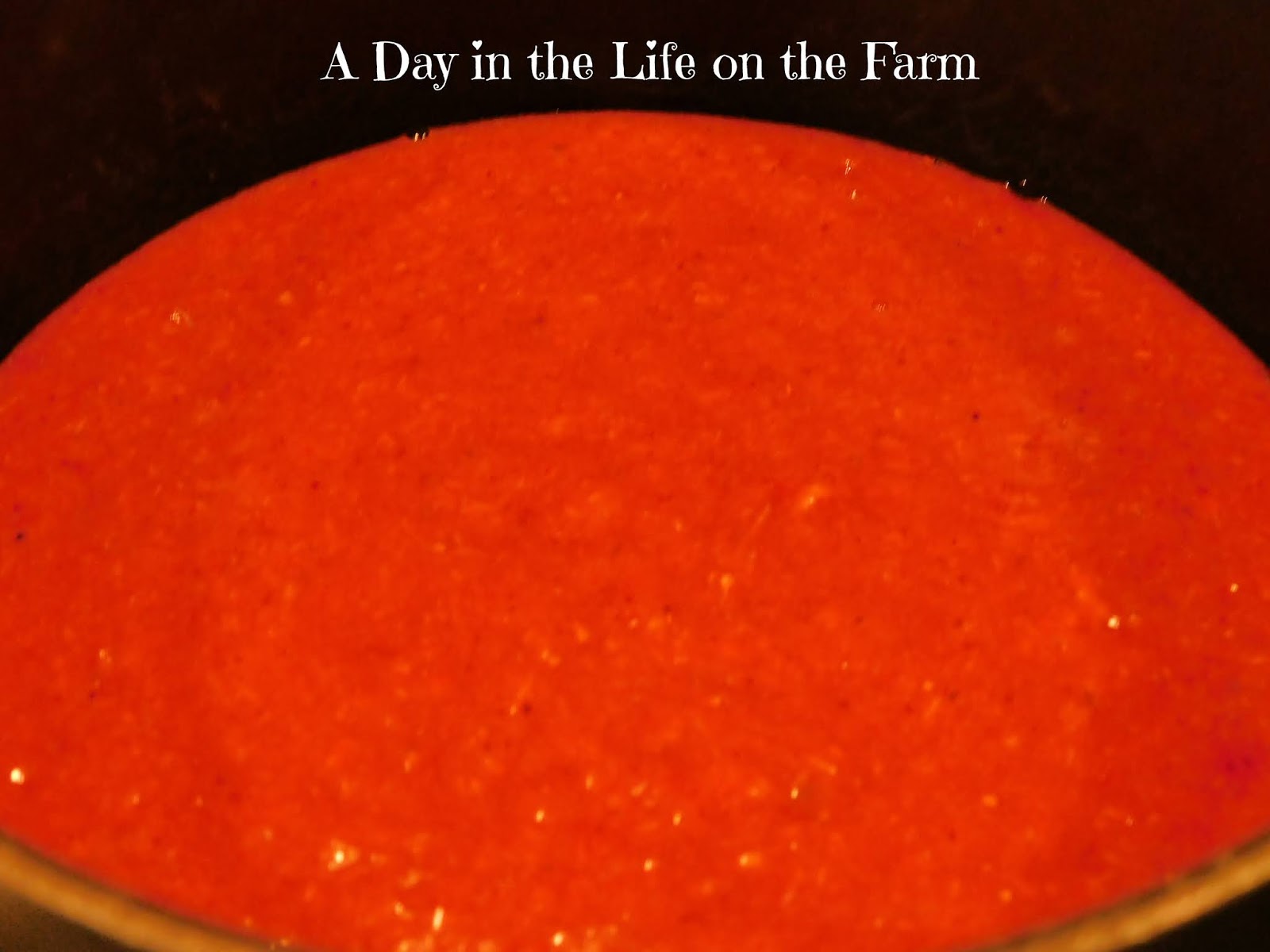 A Day in the Life on the Farm Strawberry Rhubarb BBQ Sauce BerryWeek