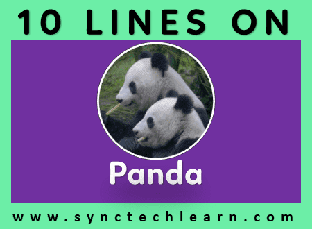 10 lines on Panda in English - Short essay on Pand