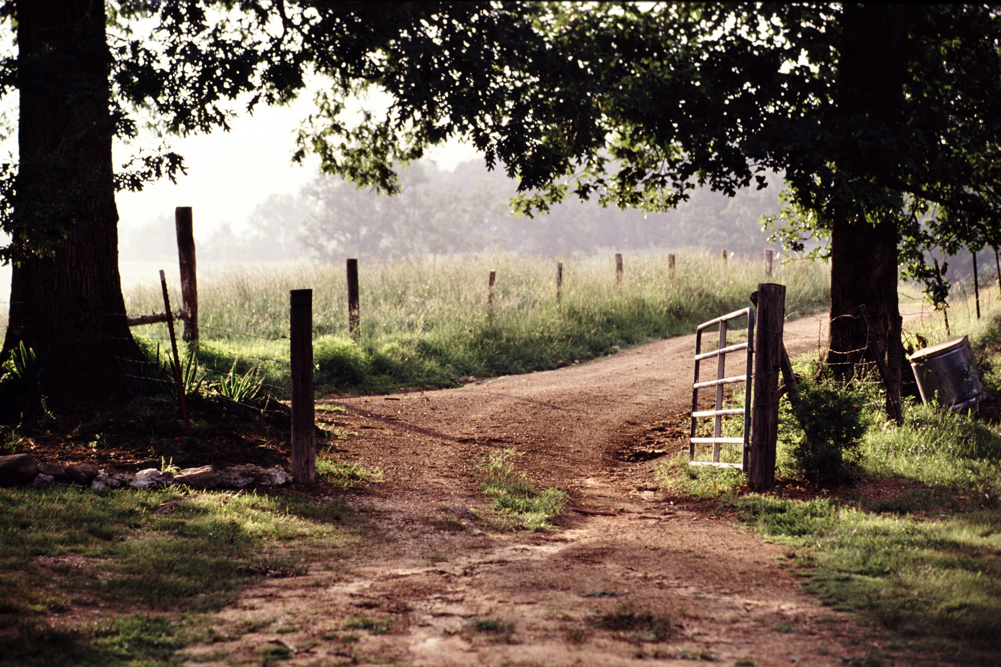 A Life in Photography McLemore Cove