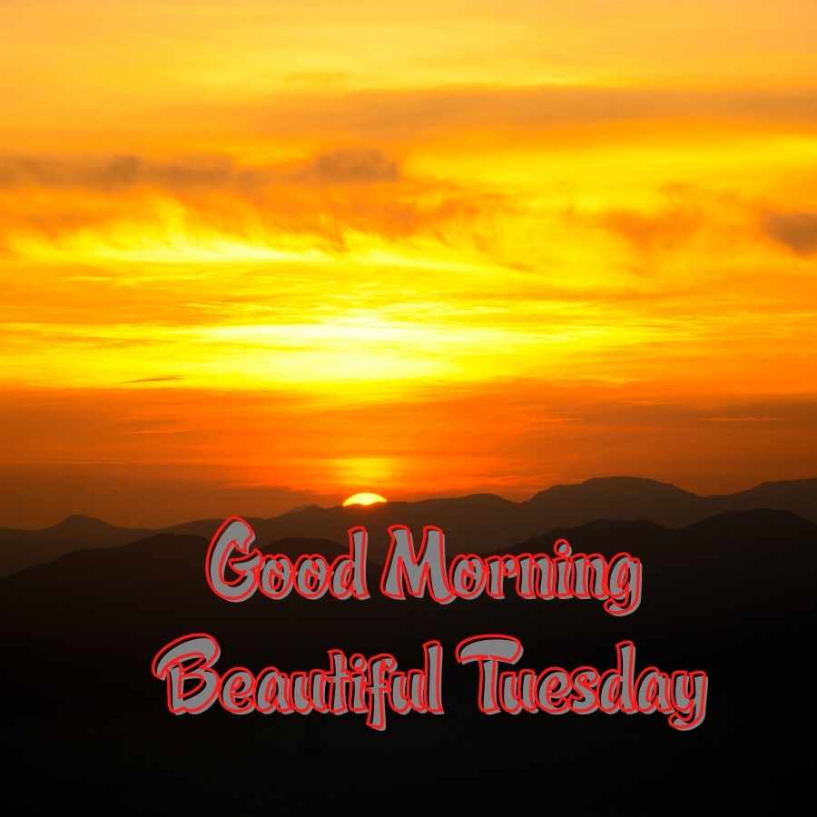 good morning tuesday image