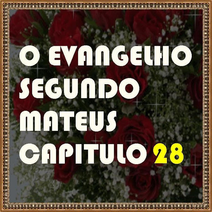 MATEUS CAPITULO 28