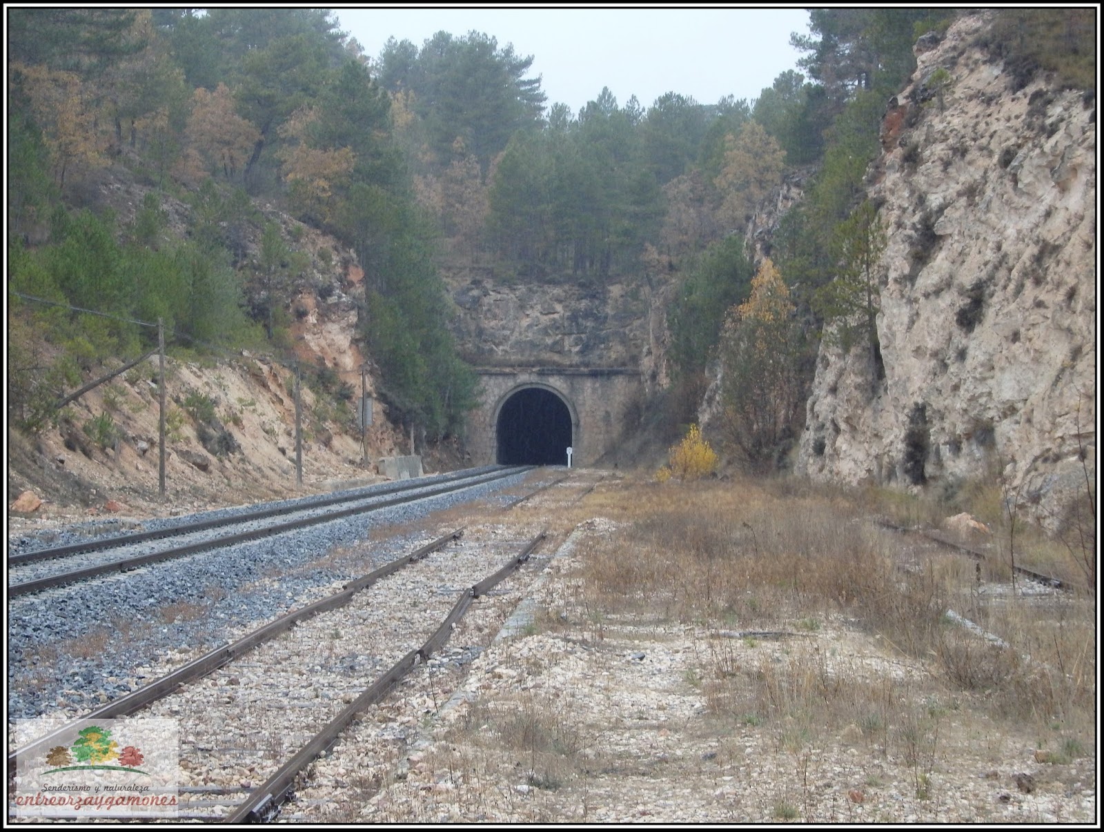 Senderismo Entreorzaygamones Estación de Los Palancares.