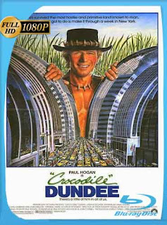 Cocodrilo Dundee (1986) HD [1080p] Latino [GoogleDrive] DizonHD