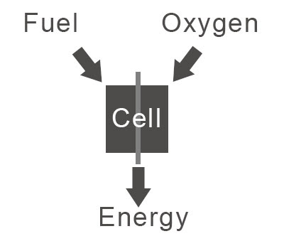 What Does Your Freelance Career And A Fuel Cell Have In Common? ~ The