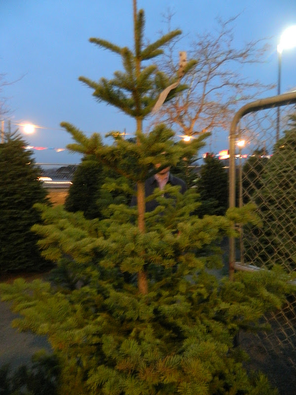 PolkaDotty Place Buying the Tree