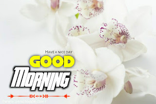 good morning images with flowers gif