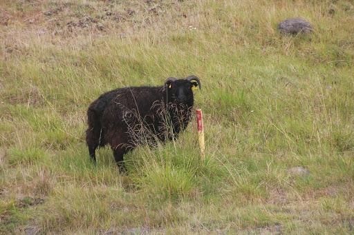 Велопоход по Исландии