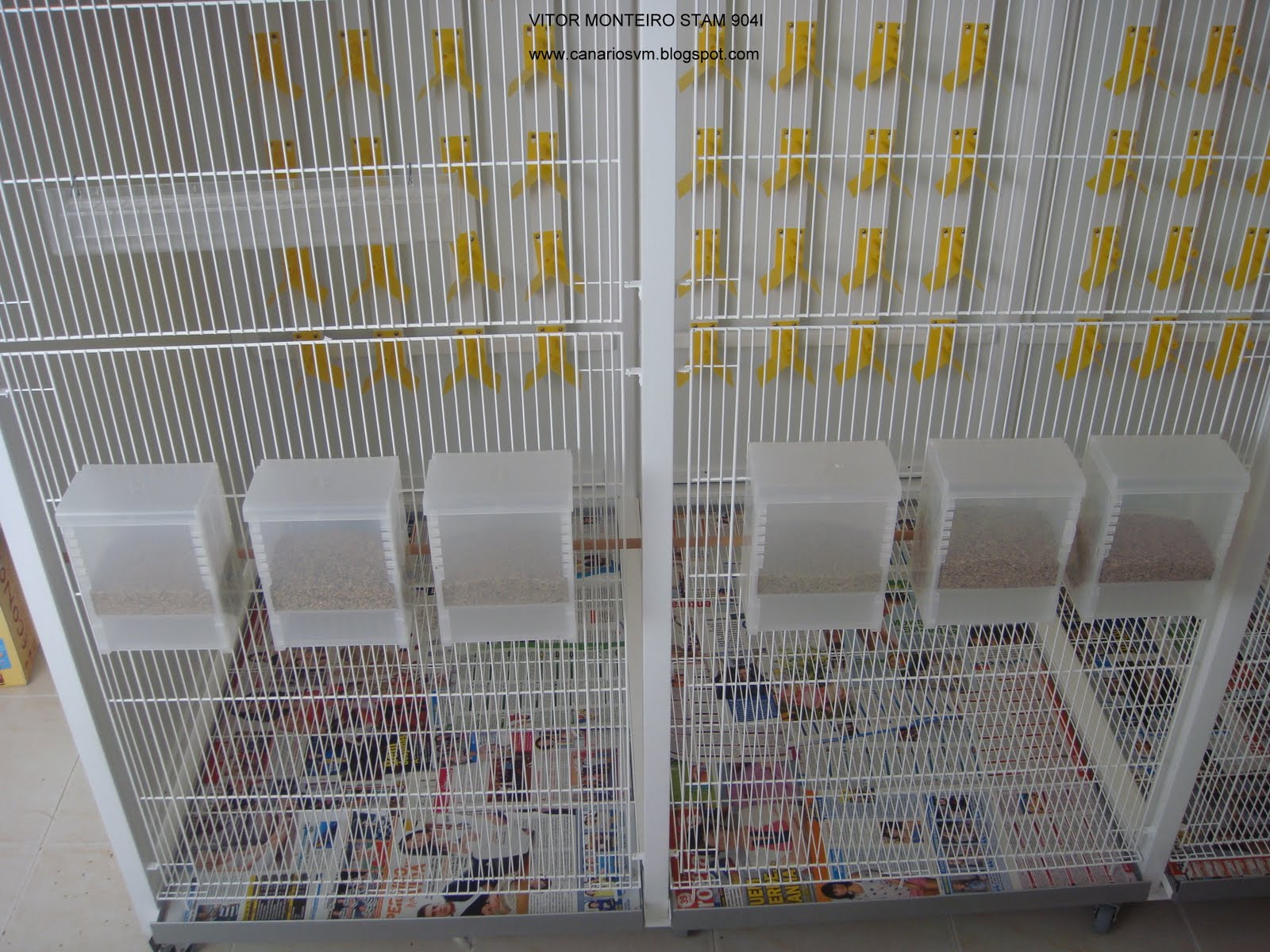 O cantinho dos Canarios Voadeira concluida ! (Fotos)