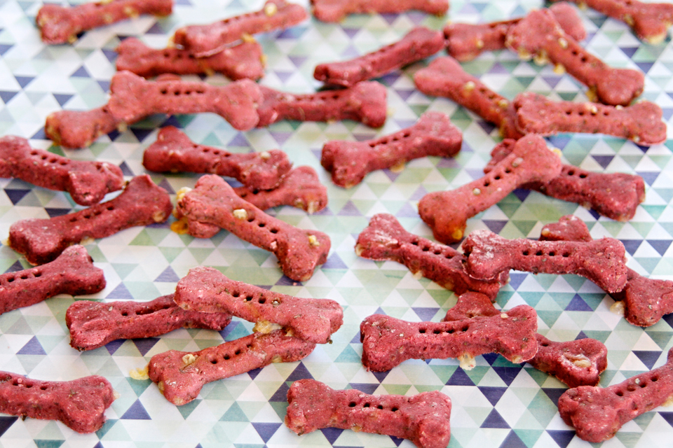 Dalmatian DIY {RECIPE} Sardine and Cheese Dog Treats (Naturally Pink!)