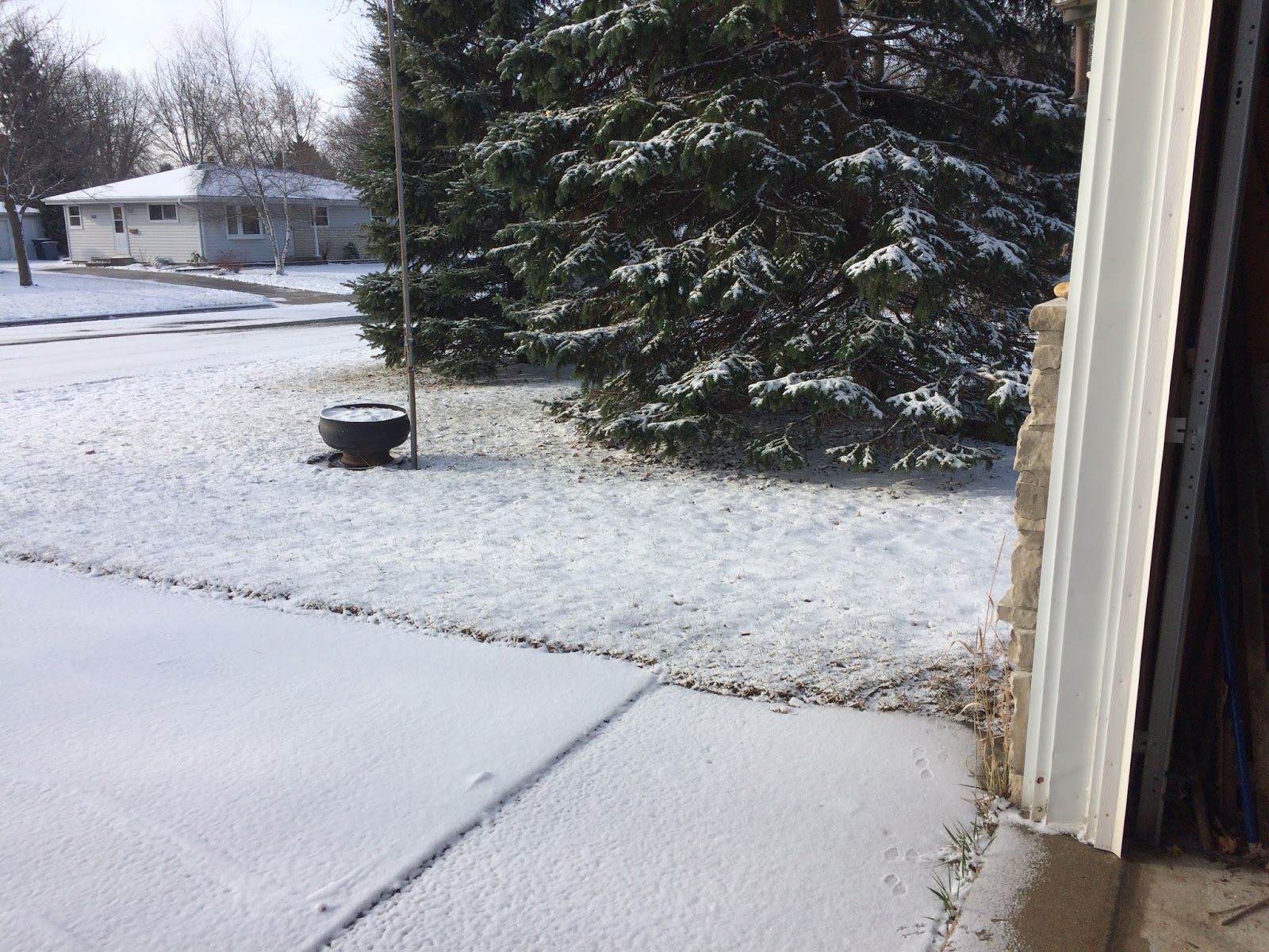 JUST DUCKY! February 2017