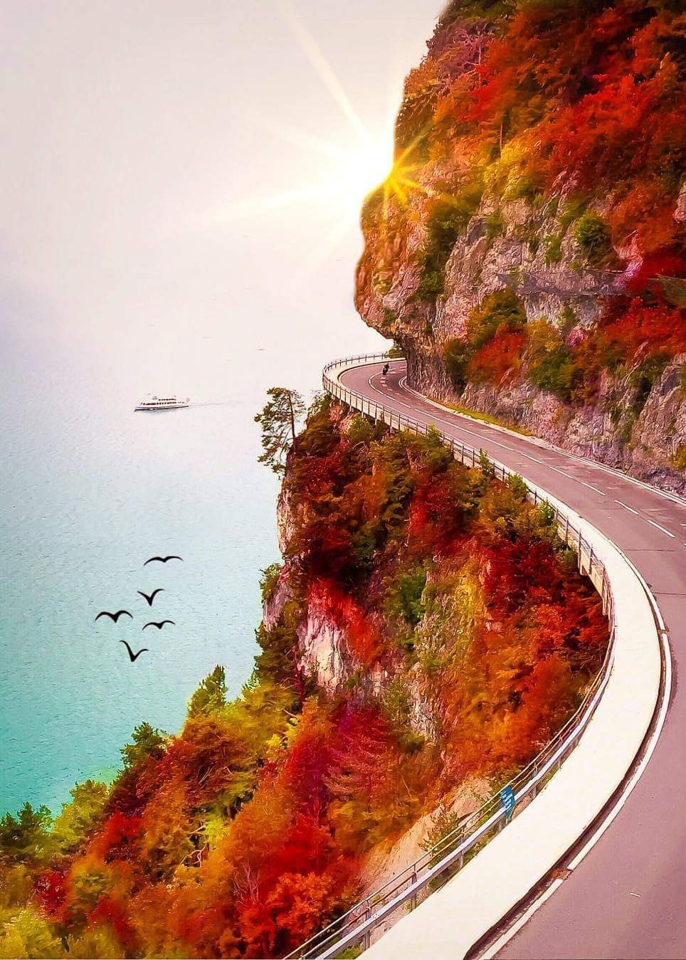 خلفيات 2020 للايفون كيوت روعه hd