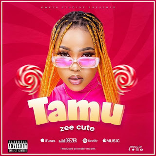 AUDIO | Zee cute – Tamu| Download New song