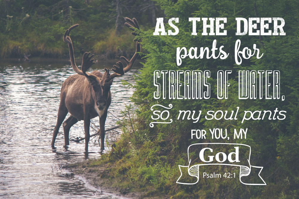 Glow Decor 261443 10 x 14 in Frameless Canvas  Deer Creek  As the Deer  Pants for Water Psalm 421  Michaels