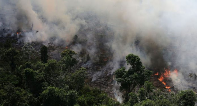 Amazônia pegando fogo.