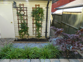 New Leslieville garden renovation design after by Paul Jung Gardening Services Toronto