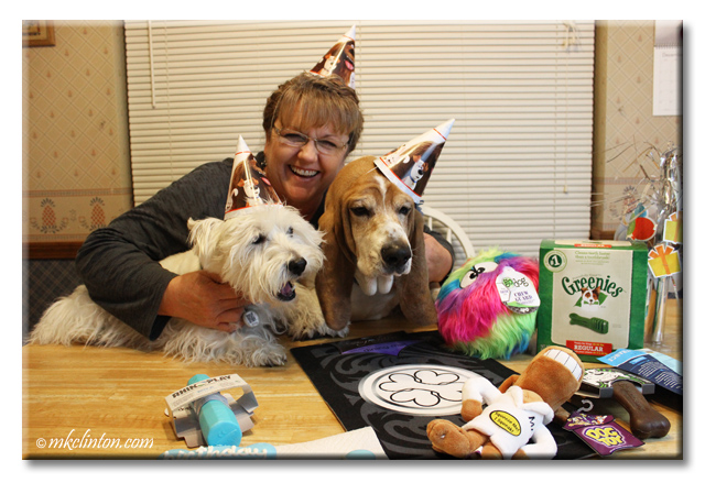 Bentley Birthday Basset, Pierre Westie and me at the birthday party table.
