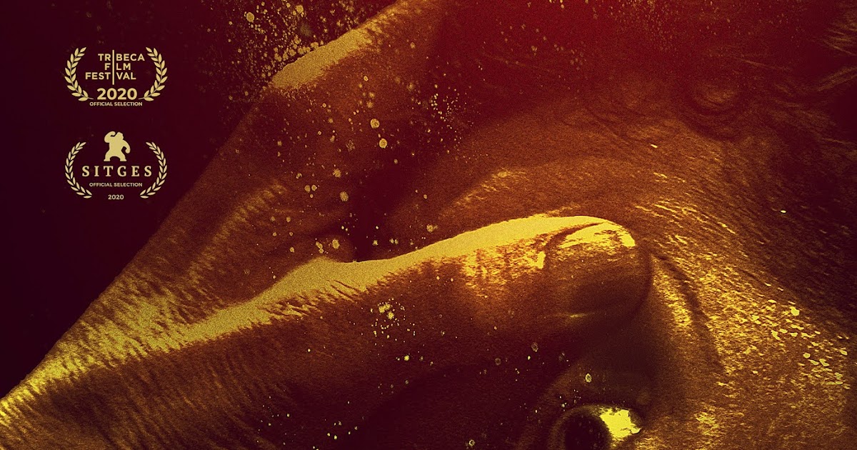 Watch or Pass Honeydew Review An Unusual and Unsettling Family Affair