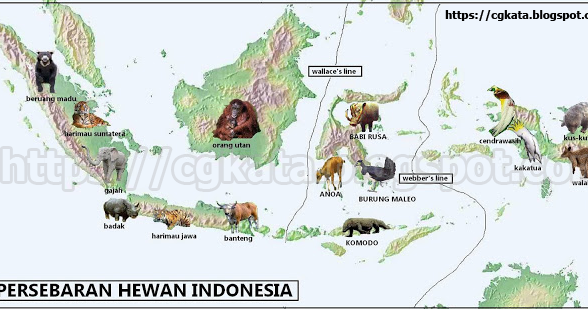 Keanekaragaman Hayati Biodiversitas Pengertian Tingkat Sebaran Manfaat Dan Ancaman Cgkata