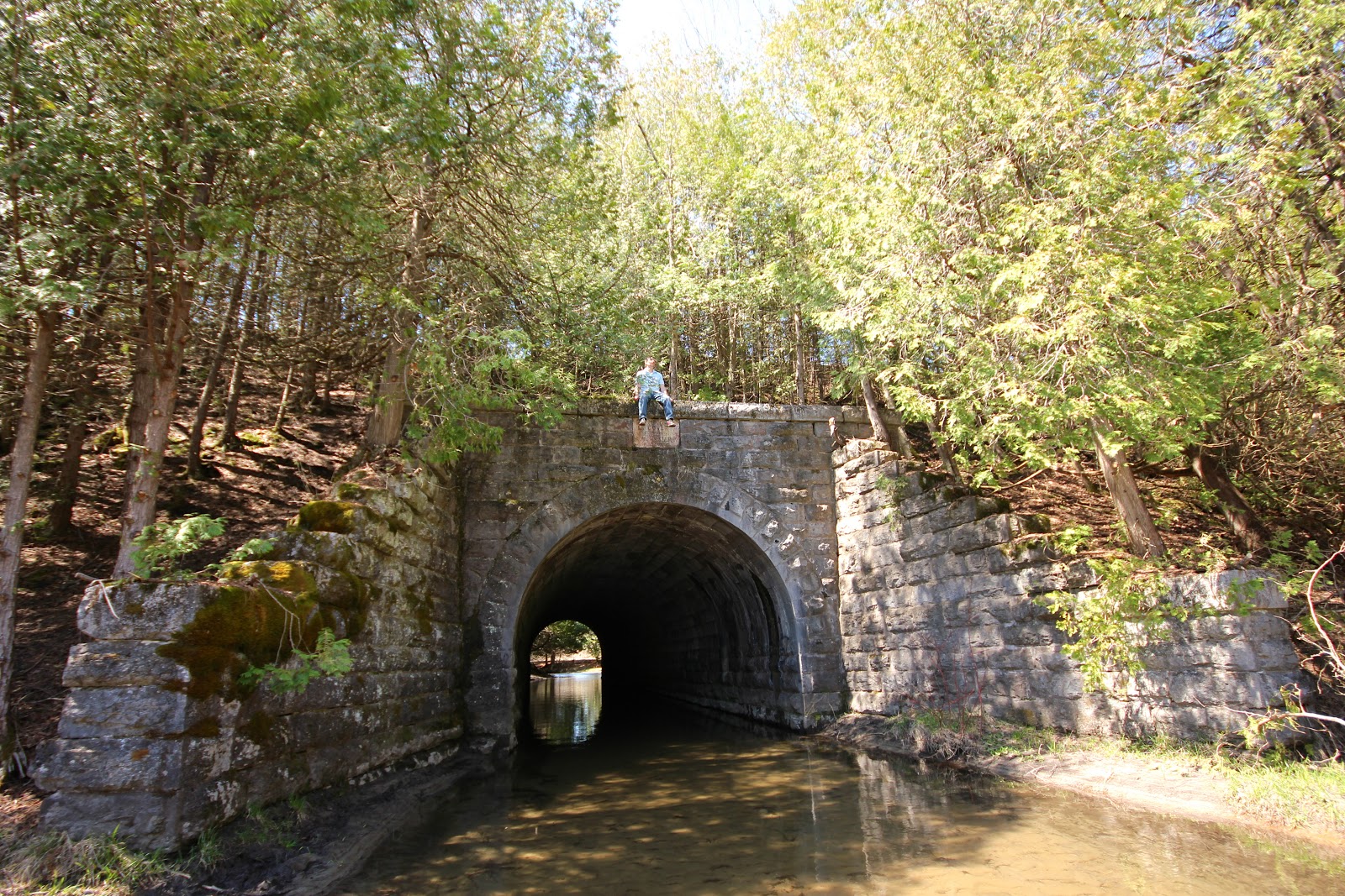 Fresh Air & Fly Bites Day Hike Millbrook Valley Trails Millbrook