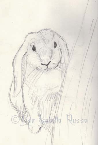 the Fine Art and Ramblings of Lisabella Russo: Lop Eared Bunny Rabbit ...