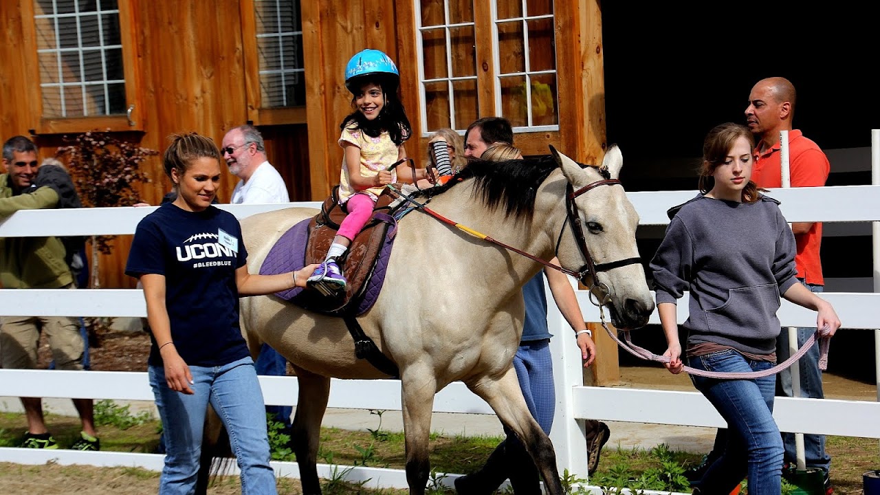 Therapy Horseback Riding Horse Choices