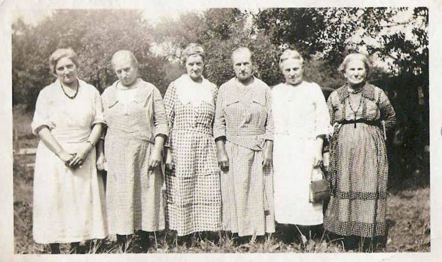 Image of Ellen (Hardesty) Glace (1858-1932) and five sisters.