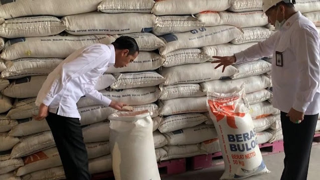 Kritik Bulog Impor 1 Juta Ton Beras, Indef: Akan Hancurkan Harga di Tingkat Petani Kritik Bulog Impor 1 Juta Ton Beras, Indef: Akan Hancurkan Harga di Tingkat Petani