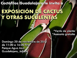 EXPOSICIÓN DE CACTUS Y OTRAS PLANTAS SUCULENTAS