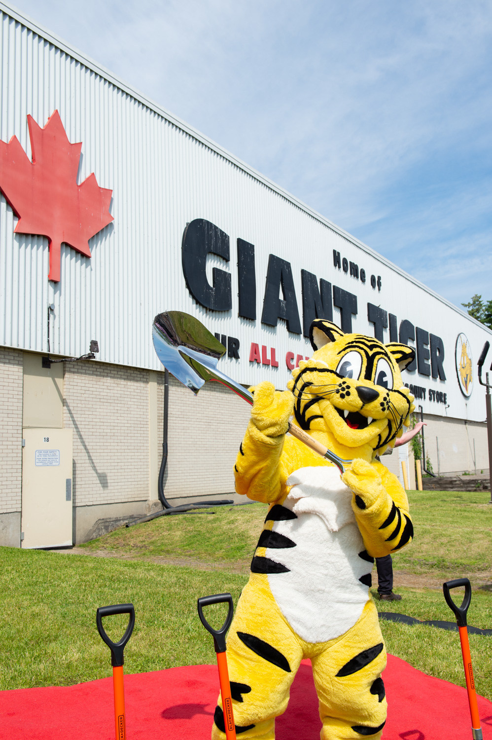 Brady's Bunch of Lorain County Nostalgia Giant Tiger Tales
