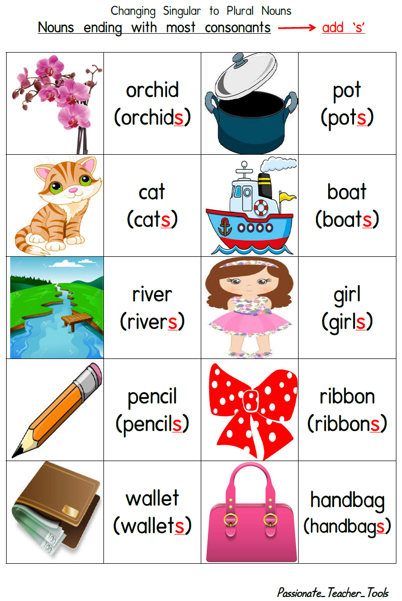 Passionate Teacher Tools Singular and Plural Nouns 1 (Charts and Quiz)