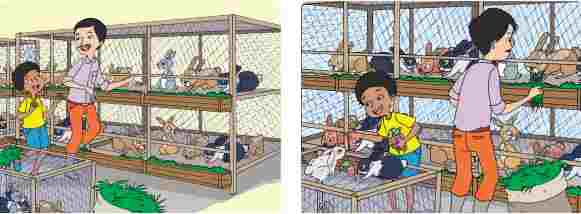 Pembelajaran 2 Tema 1 Subtema 1 Organ Gerak Hewan Mikirbae Com