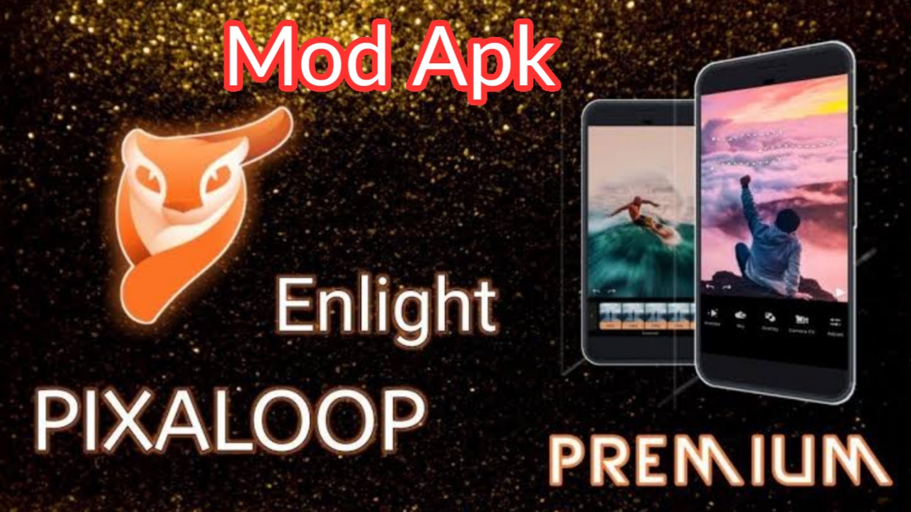 Enlight Pixaloop Pro MOD APK 1 2 6 Enlight Pixaloop Pro MOD APK 1 2 6