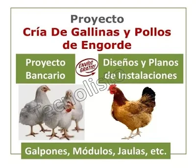 "Proyecto cria de gallinas ponedoras y pollos de engorde"