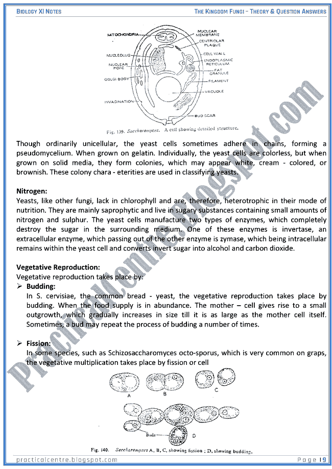Kingdom Fungi Theory And Questions Answers Biology XI Practical