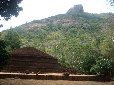 Kaludiya Pokuna in Kandalama