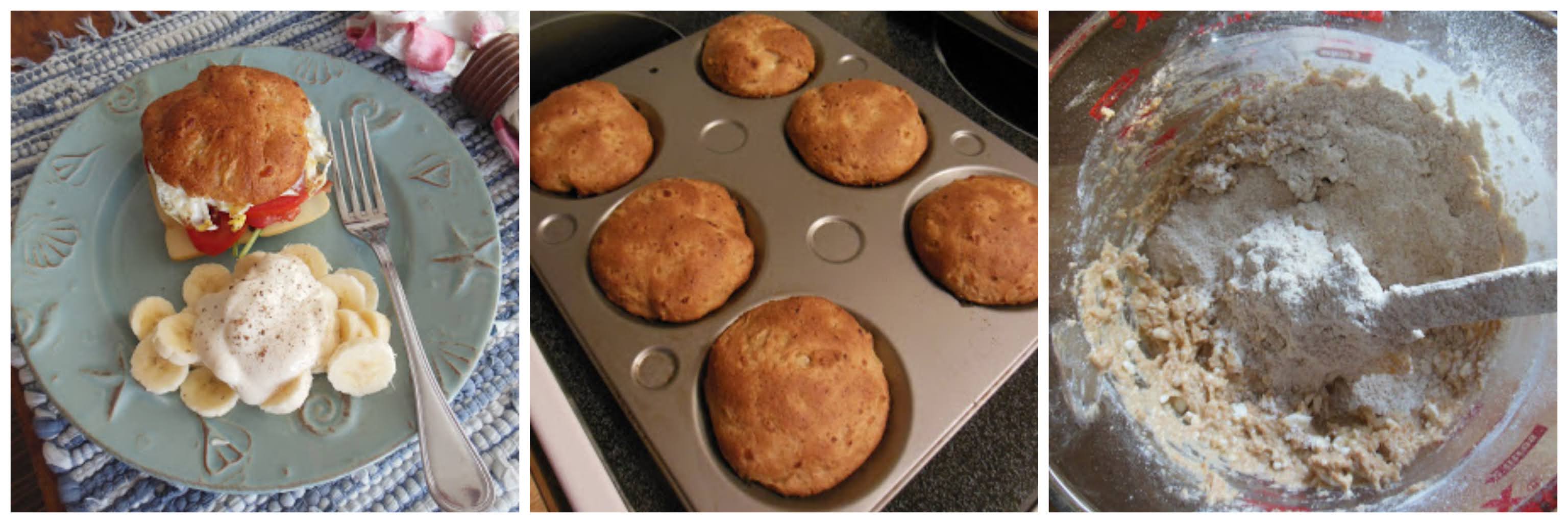 Whole Wheat Cottage Cheese Yeast Buns Scratch Made Food! & DIY