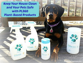 Keep Your House Clean & Your Pets Safe with #PL360 Plant-Based #CleaningProducts #LapdogCreations #dobermanpuppy #dogsafe #petsafe #SpringCleaning #DogHome ©LapdogCreations