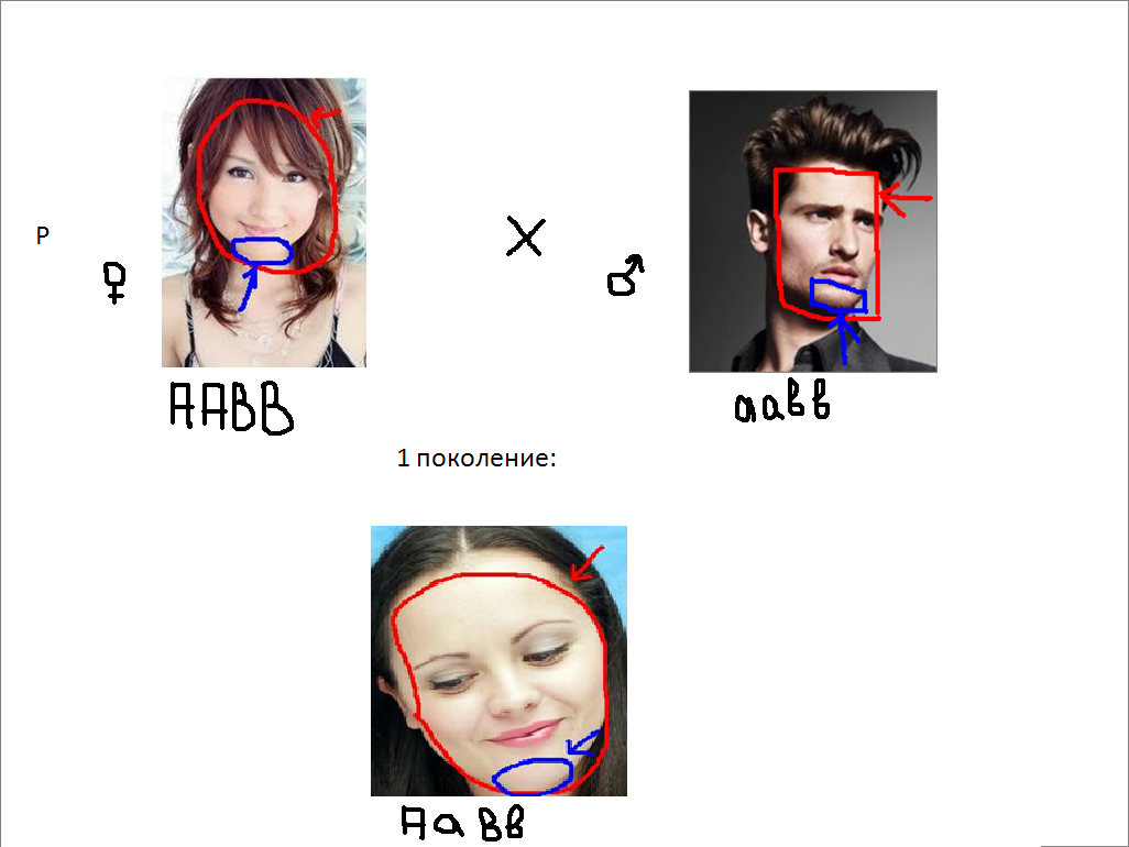 Знаки на щеках баттерфляй. Знаки на щеках баттерфляй. На щеках знаки. На щеках знаки. На щеках знаки.