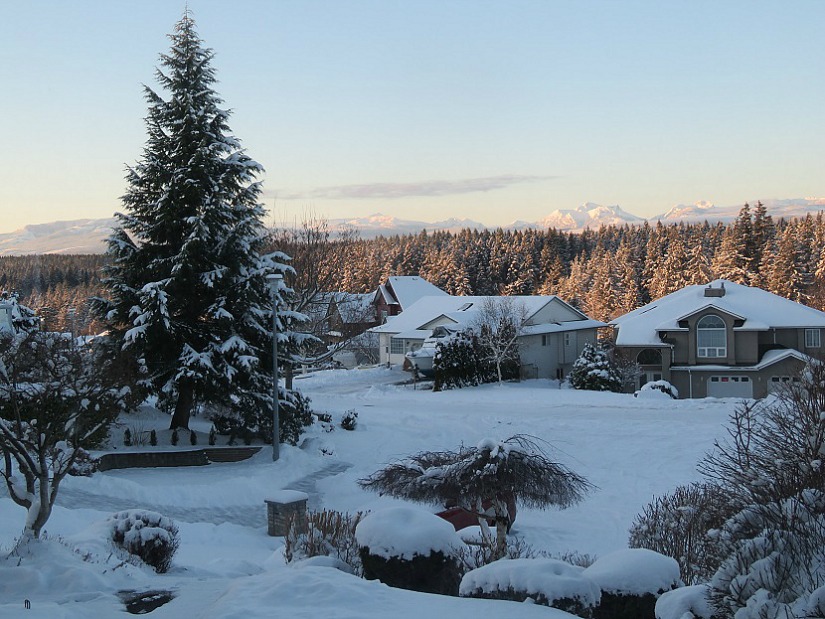 For The Love Of Dirt The Mountain In Winter